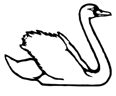 Trumpeter Swan Coloring Page